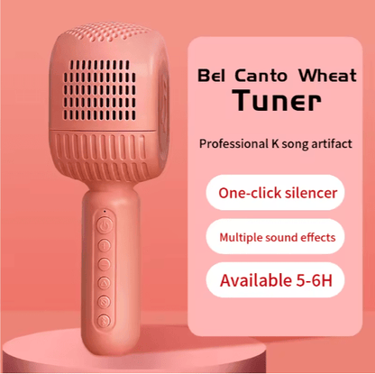 Disco - HiFi Speaker Wireless Microphone